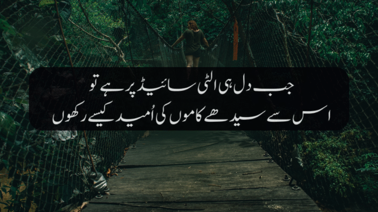 new funny poetry in urdu