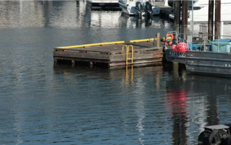 Advancements in Floating Platforms for Recreation & Water Sports